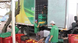 Banco de Alimentos da Ceasa registra recorde mensal de doações