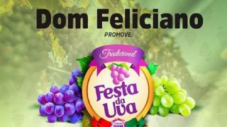 Vem aí a tradicional Festa da Uva, em Dom Feliciano