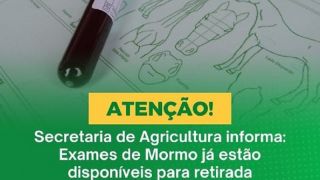 Já estão disponíveis para retirada os resultados dos exames de Mormo e Anemia Infecciosa Equina, em Canguçu