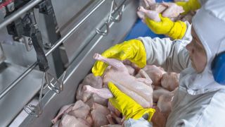Polinésia Francesa, no Oceano Pacífico, abre mercado para a carne de frango do Brasil