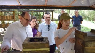 Projeto, do Deputado Sergio Peres, cria Programa de Sustentabilidade da Apicultura e Meliponicultura no RS