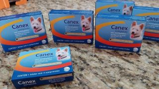 Canex composto para acabar com os vermes dos dogs, por R$ 4,50 cada comprimido, na Lica Lucas, em Camaquã