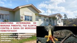 Setor Médico Veterinário de Mariana Pimentel faz alerta dos cuidados quanto a raiva espalhada pelo morcego hematófago