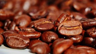Comissão de Agricultura aprova selo para identificar cafés produzidos por método artesanal