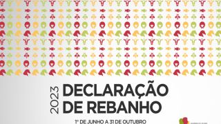 Declaração de Rebanho tem adesão de 84,19% dos produtores gaúchos em 2023
