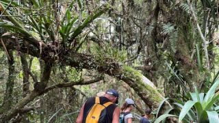 Veranistas aproveitam trilha do Morro de Itapeva e aprendem sobre a biodiversidade local em Torres