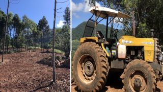 Destruição de vegetação nativa é flagrada, em Gramado, pelo 3º Batalhão Ambiental 