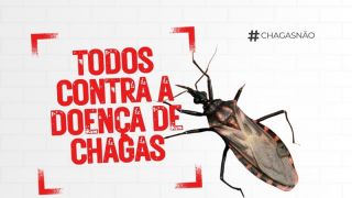 Prefeitura de Canguçu vai oferecer testes gratuitos de detecção da doença de Chagas