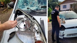 Após 20 dias de investigação, Polícia Civil identifica veículo que atropelou fatalmente pedestre, em Novo Hamburgo